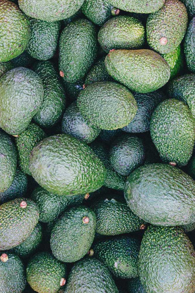 avocado-pattern-vertical