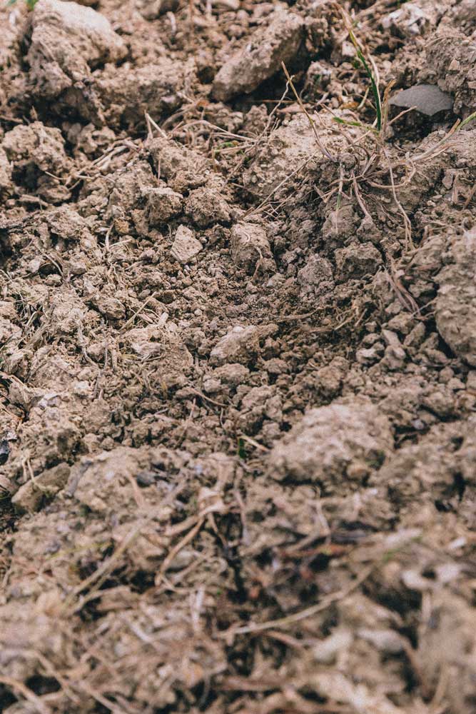 soil